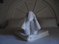 DSC05631