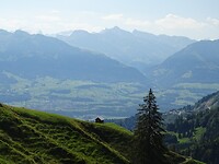DSC03558