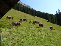 DSC03576