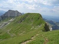 DSC03660