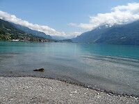 DSC03918