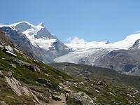 DSC04461
