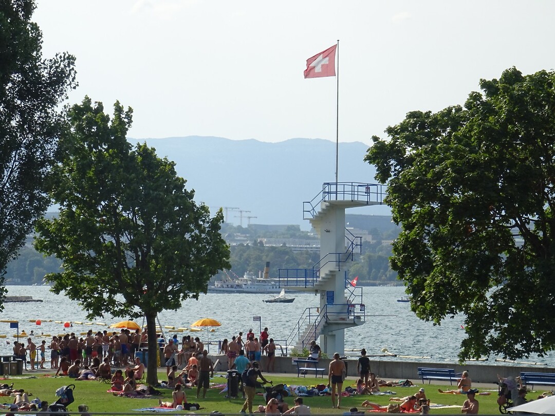 DSC04799