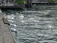 DSC04821