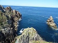DSC04886