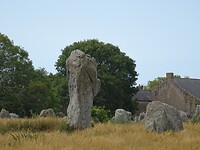 DSC04897