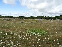 DSC04906