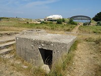 DSC05024