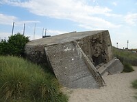 DSC05104