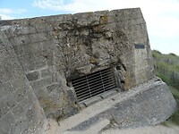 DSC05105