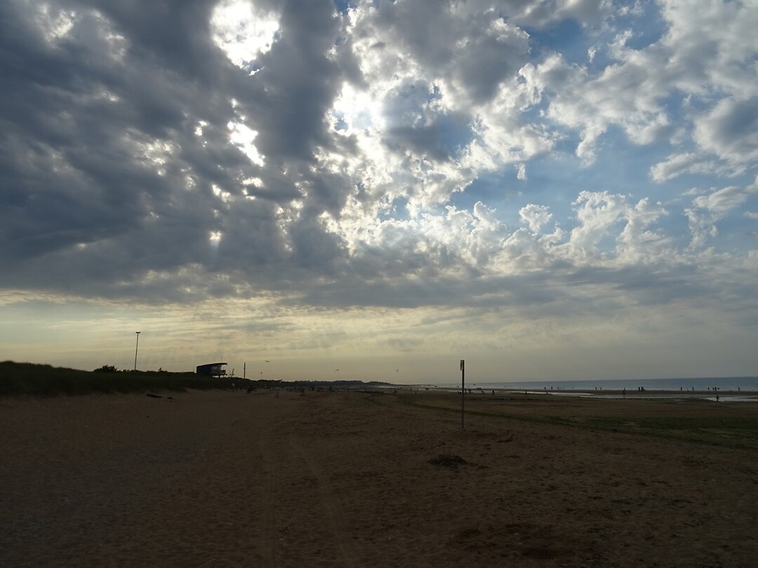 DSC05134