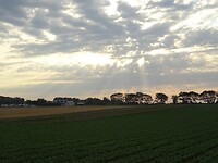 DSC05170