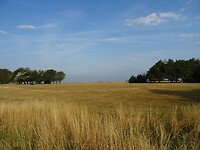 DSC05215