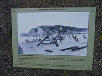 DSC05359