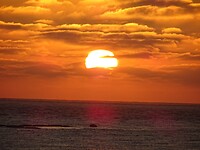 DSC03195