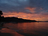 DSC04594