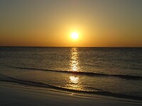 DSC04832