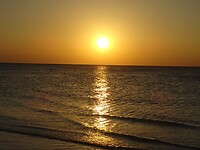 DSC04833