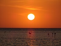 DSC05027