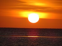 DSC05159