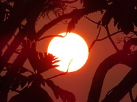 DSC07608