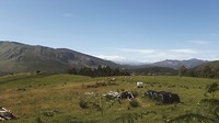 2019-06-06 02.52.52 1