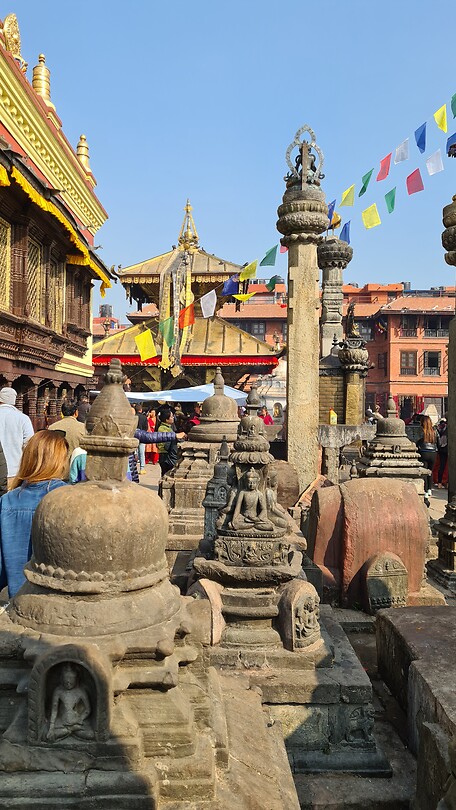 20221118_094952