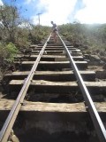Koko Head Trail