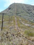 Koko Head Trail