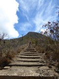 Koko Head Trail
