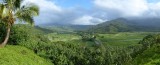 Hanalei Valley