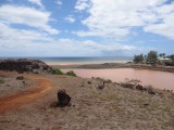 Waimea rivier