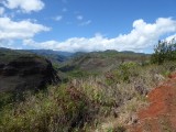 Hanapepe Valley Lookout.