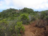Awa'awapuhi Trail