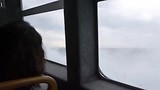 Lady Musgrave Island