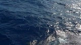 Great Barrier Reef