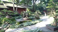 Bonsai-tuin in Wuhou Tempel