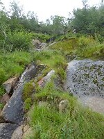 Fløya