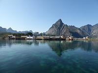 Reine