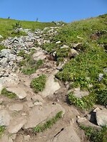 Reinebringen