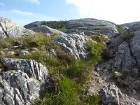 Flørli