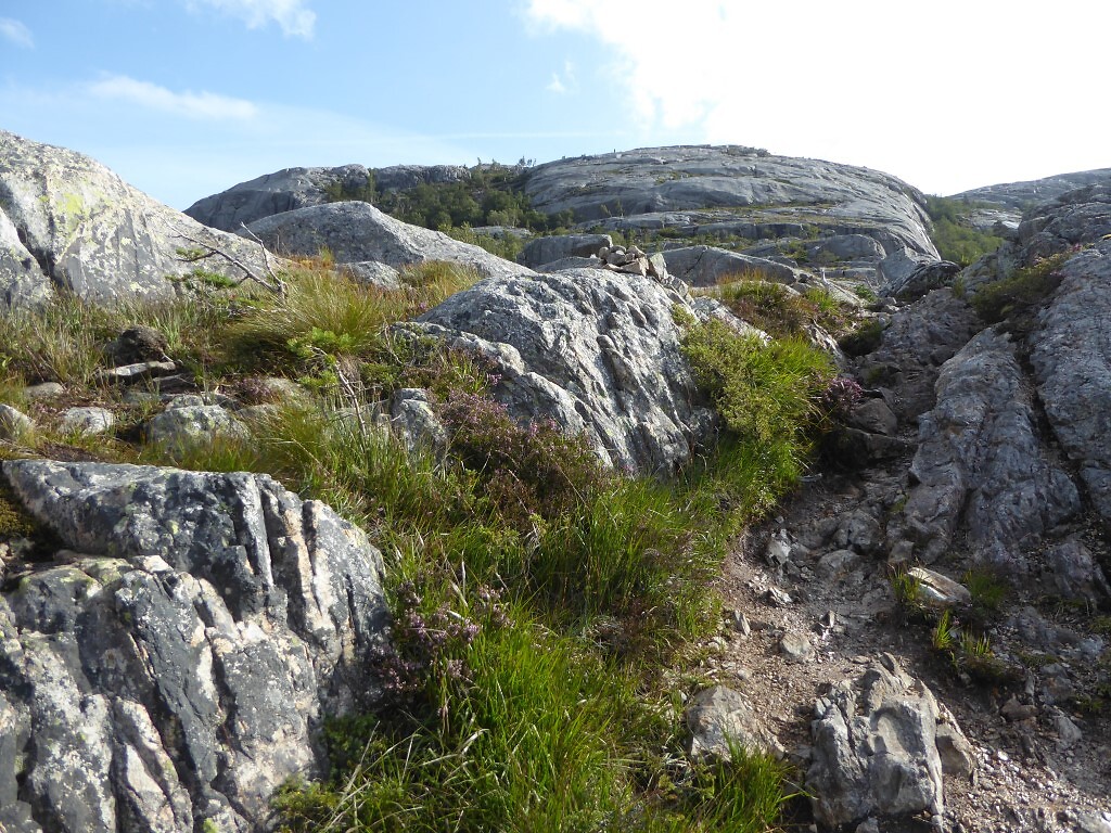 Flørli