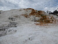 Mammoth Hot Spring