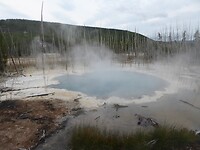 Norris Geyser Basin