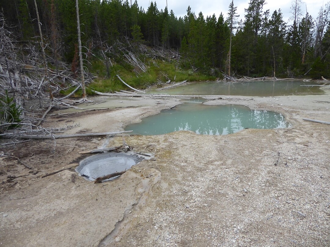 Norris Geyser Basin