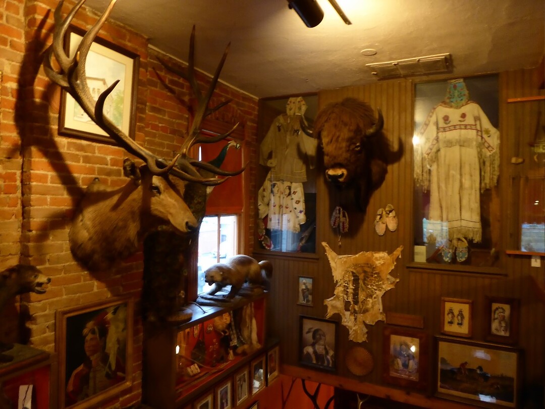 Buckhorn Experience