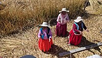 Uros