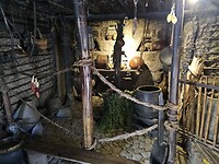 Evenaar