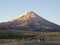 Tambopaxi