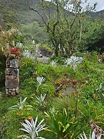 Papallacta